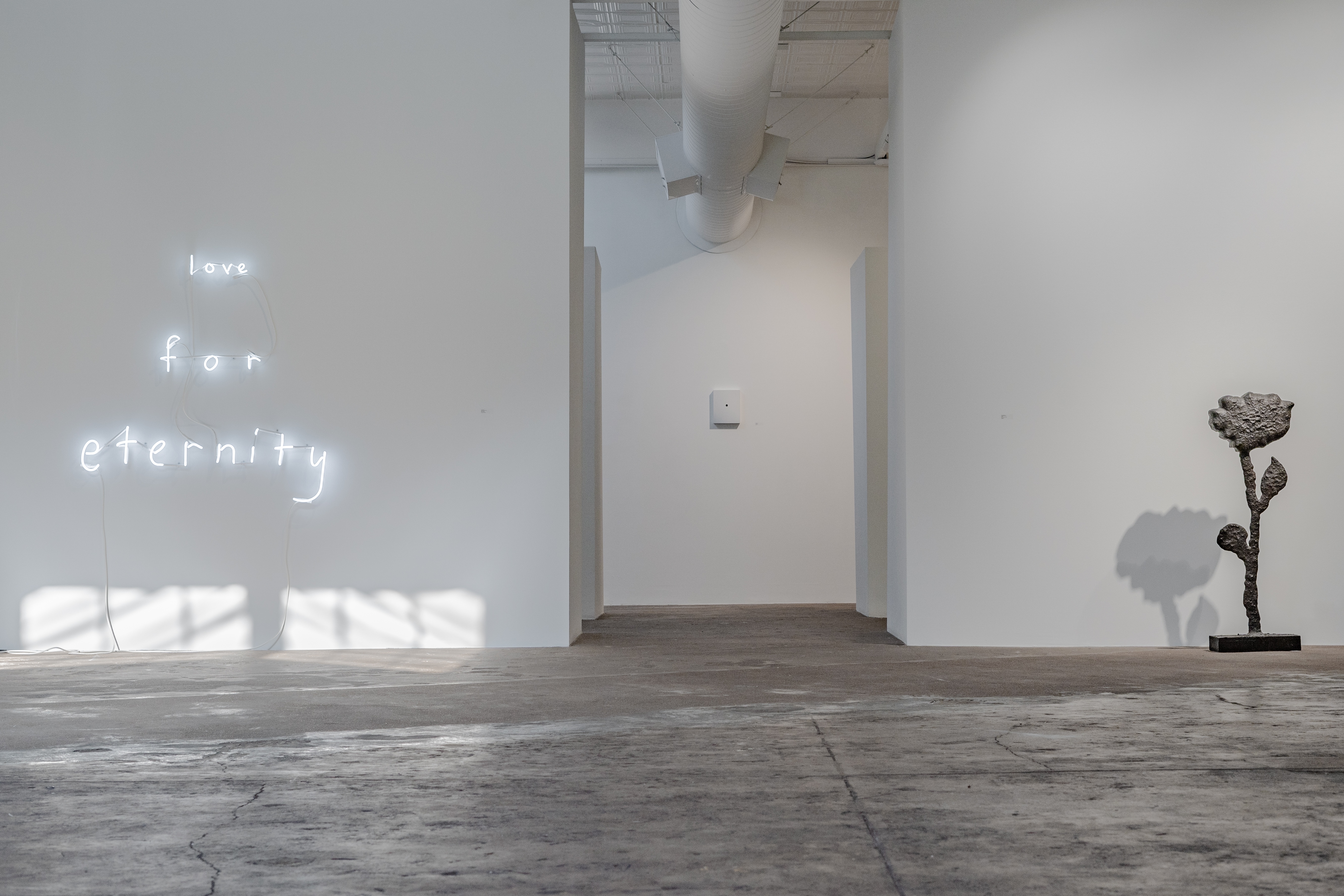 projects+gallery